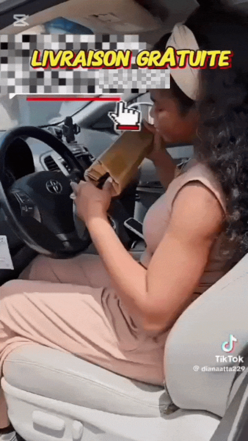 SunBlock installé sur pare-brise